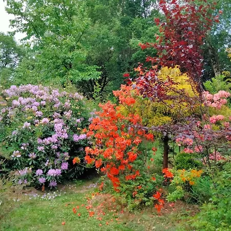 De L'ermitage En Broceliande 2 A 4 Personnes Vakantiehuis *