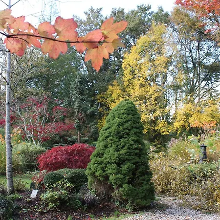 Vakantiehuis De L'ermitage En Broceliande 2 A 4 Personnes