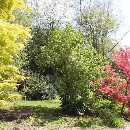 Vakantiehuis De L'ermitage En Broceliande 2 A 4 Personnes *