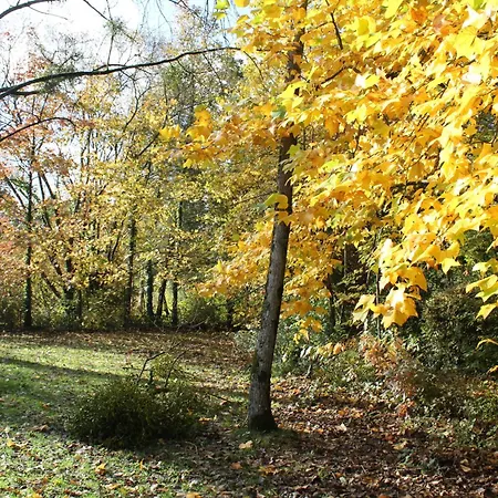 De L'ermitage En Broceliande 2 A 4 Personnes Vakantiehuis *